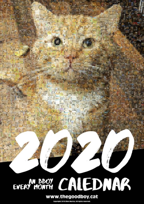 Front cover of the 2020 Bilbo Calendar