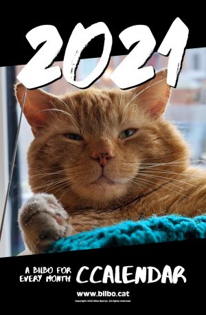Front page of the Bilbo 2021 Calendar, showing him sitting on his window bed, smiling into the camera.